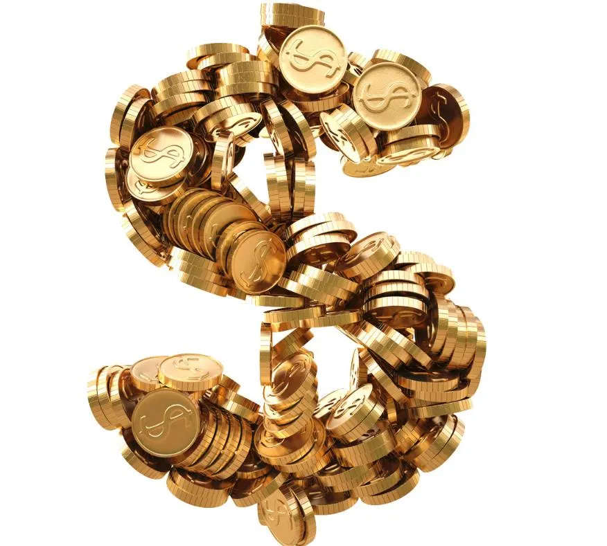 Customer Payment Link Designer Custom Bag