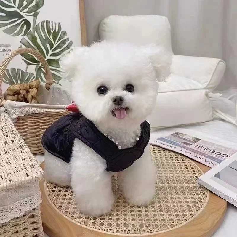 Pet Dog Dresses Winter Big Bow Thickened Dress with Velvet Bow Dress Teddy Bear Dog Cat Coat Puppy Clothes for Small Dogs J251110