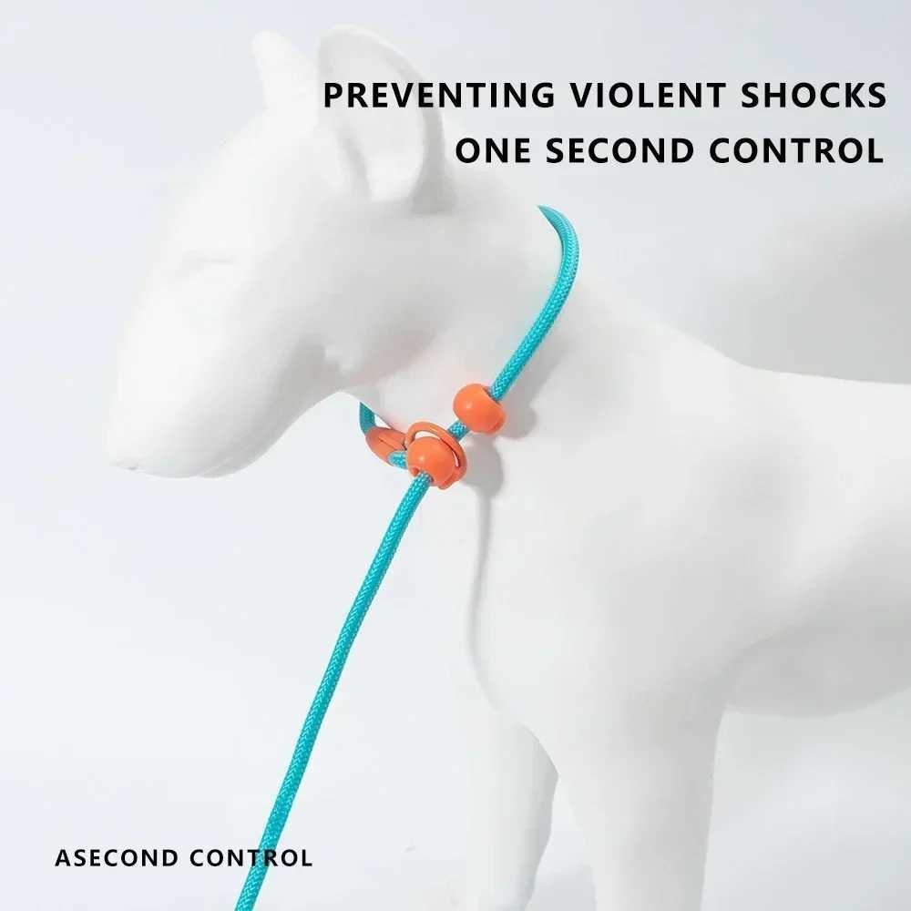 150cm Pet Dog Training Round Rope Light Weight Nylon P Chain Collar Adjustable for Small Medium Dogs Walking Leash Pet Supplies J251110