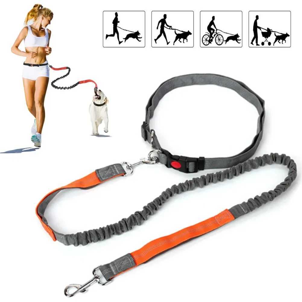 Retractable Dog Leash with Adjustable Waist Rope Hand Free Running Jogging Cycling Big Dogs Pet Elasticity Lead Pet Supplies J2511101