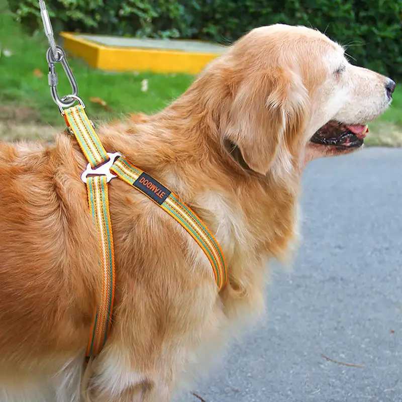 Double-headed Dog Tie Out Cable Leash Raction Rope With Metal Buckle Steel Wire Anti-rust Training Collar Outdoor Dogs Strap J251110