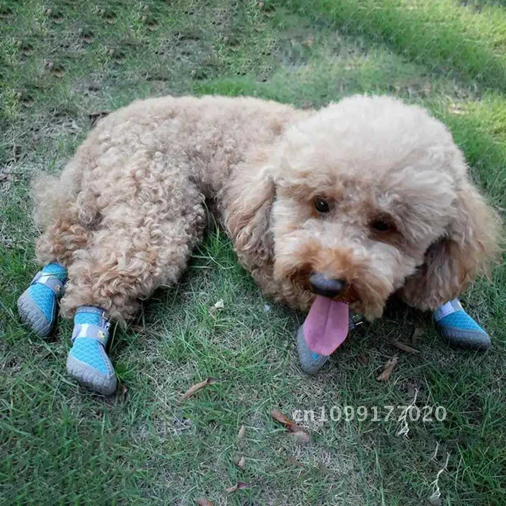 Dog shoes fashionable dog net sports shoes and medium-sized pet small beautiful sports shoes T2504010