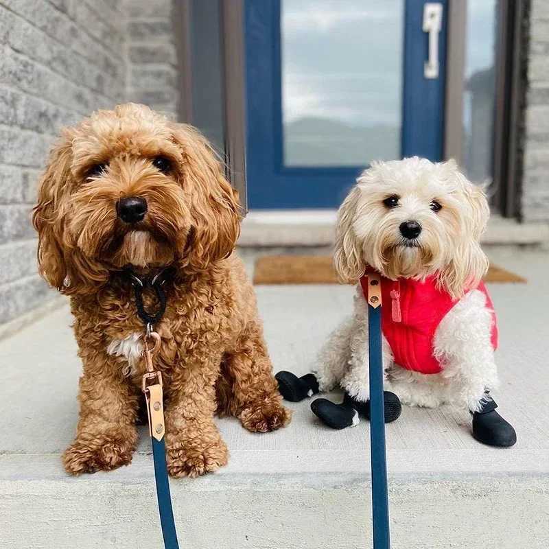 4 waterproof pet cat rain boots anti slip silicone pet dog rain boots outdoor rubber boots suitable for small medium and large dogs T2504010