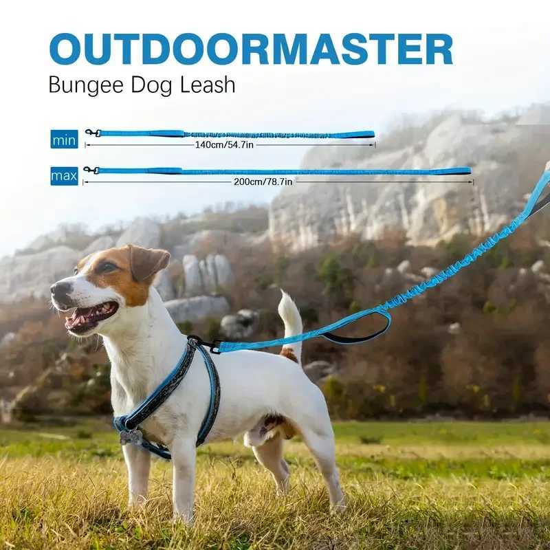 Heavy Duty Bungee Dog Leash 5-Foot Shock Absorbing Polyester Lead with Dual Padded Handles Adjustable Waist and Secure Buckle J251110