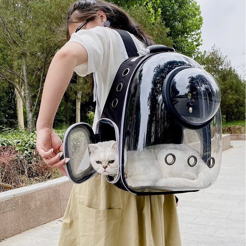 Cat Strap Portable Backpack Space Bag Cat Strap Transparent Panoramic Pet Backpack Travel Outdoor Breathable Pet Bag Designer Bag