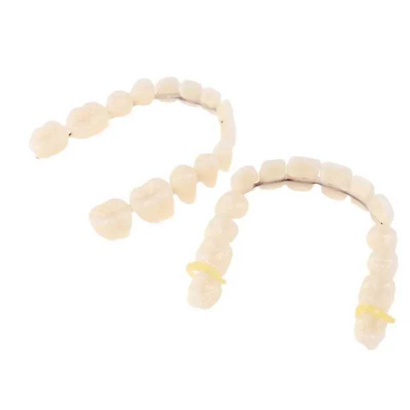 New Arrival Denture support simulation denture teaching implant analysis cosmetic denture upper and lower teaching model denture material Z250410