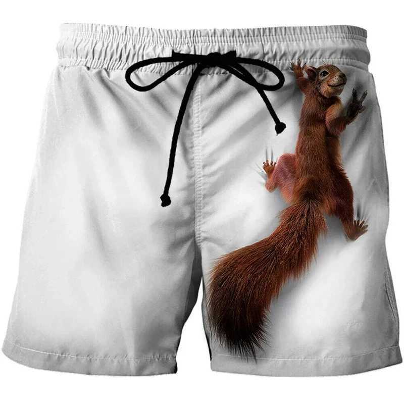 Cute animals 3D printed surfboard shorts for men simple breathable squirrel graphic shorts for children fun oversized Hawaiian party swimsuits X250410