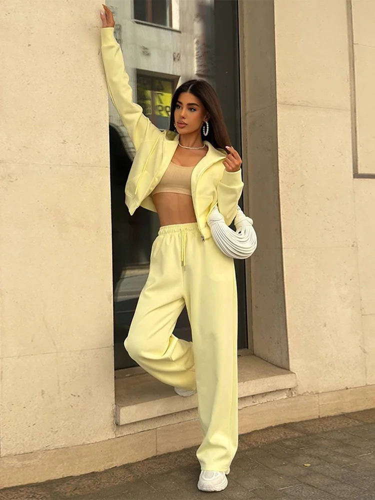 Womens Solid Zipper Hooded Long Sleeves Top Sets Casual Straight Wide Leg Pants Suit Autumn Office Commute Outfit 251110