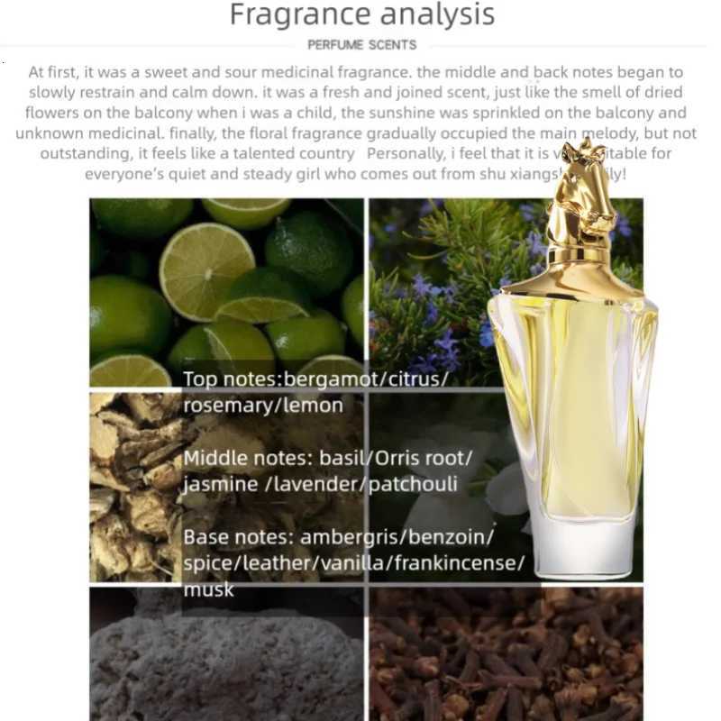 100ml Horse Head Mens Perfume Long Lasting Cologne Arabian Perfumes for Men High Quality Fragrance Natural Spray Eau De Parfum X251110