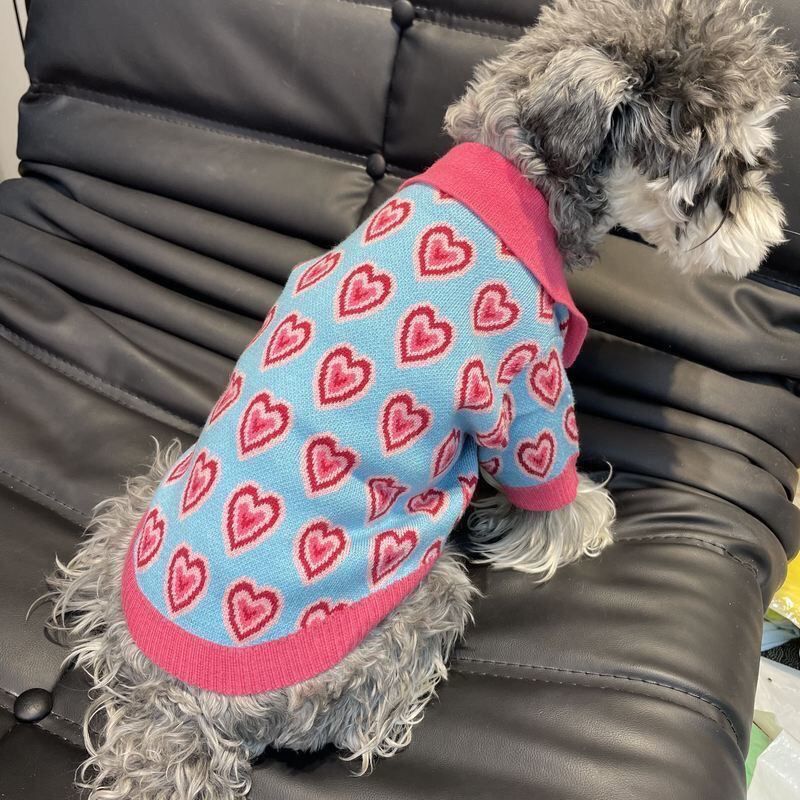 Cute Heart Pattern Dog Sweater, Knitted Pet Cardigan with Pearl Buttons & Lapel Collar, Warm Fashion Apparel for Small Medium Dogs, Soft Comfortable P