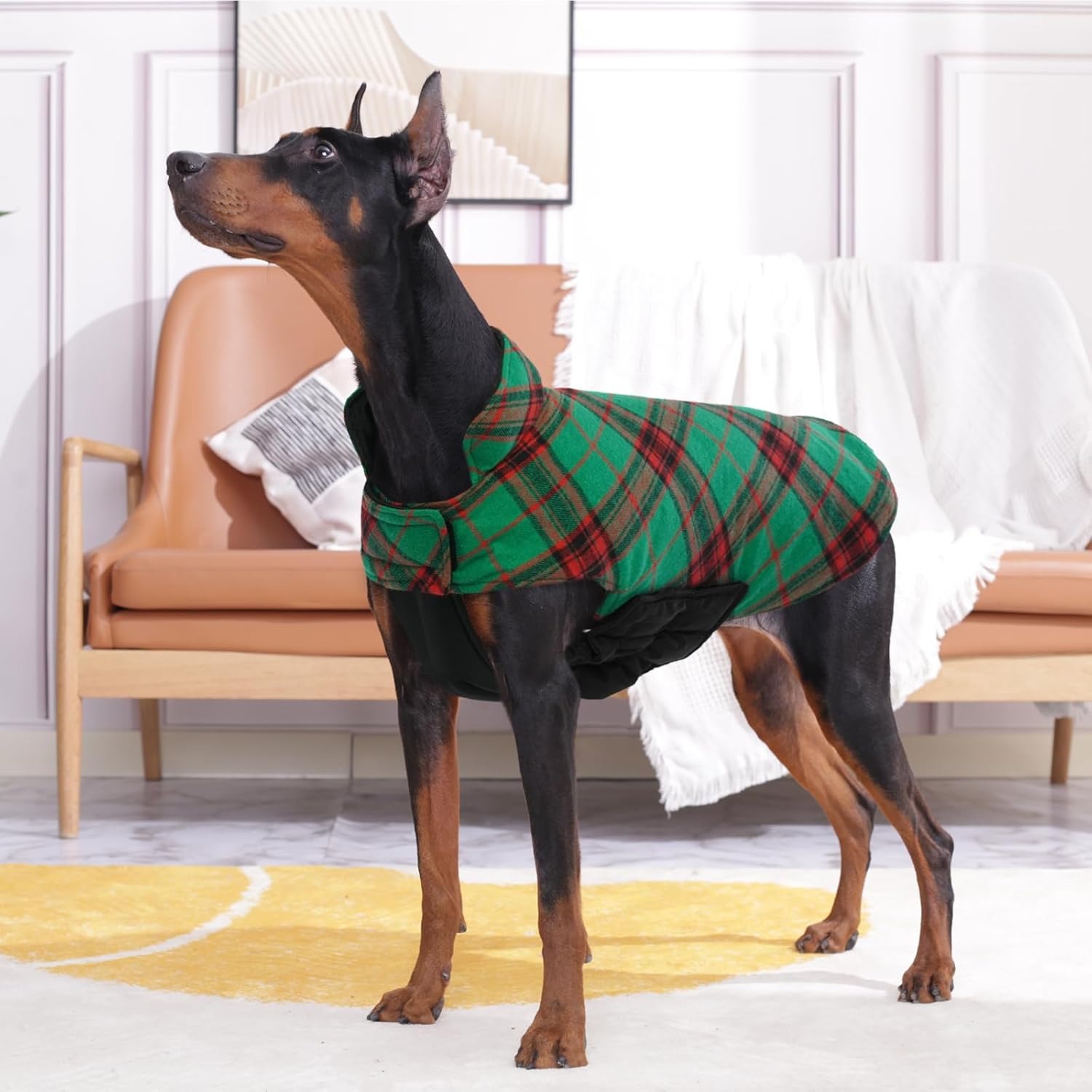 Kuoser Reversible Waterproof Dog Coat - British Plaid Winter Jacket for Small Medium Large Dogs