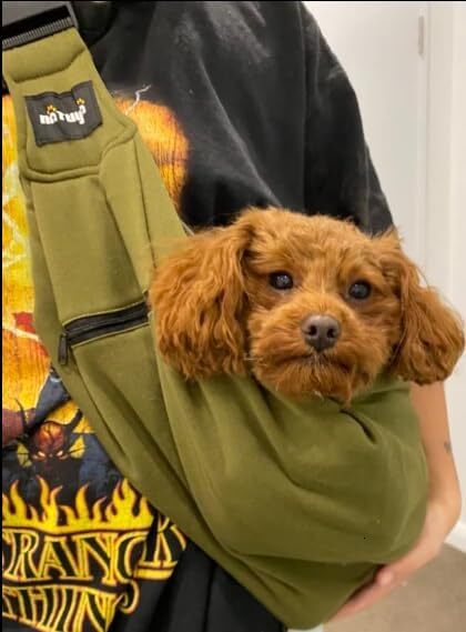 NATUYA Pet Dog Strap Strap - Dog Strap with Mesh Bag Suitable for Pet Cats - Hands Free Pet Bag - Buckle Mesh Bag Pet Bag (Green)