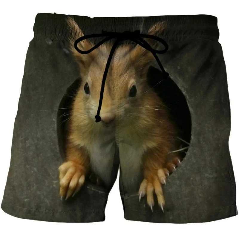 Cute animals 3D printed surfboard shorts for men simple breathable squirrel graphic shorts for children fun oversized Hawaiian party swimsuits X250410