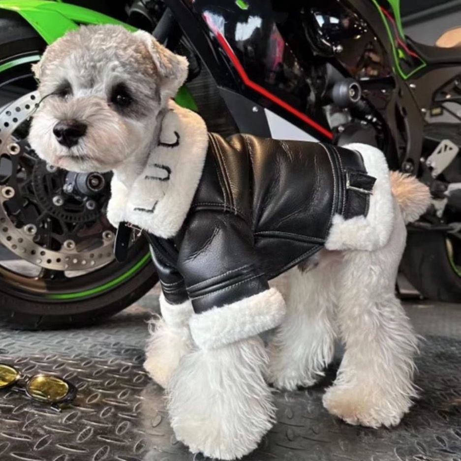 Warm Fleece Lined Dog Leather Jacket, Stylish Motorcycle Style Pet Coat, Windproof & Waterproof Dog Apparel, for Small Medium Dogs, Trendy Puppy Jacke