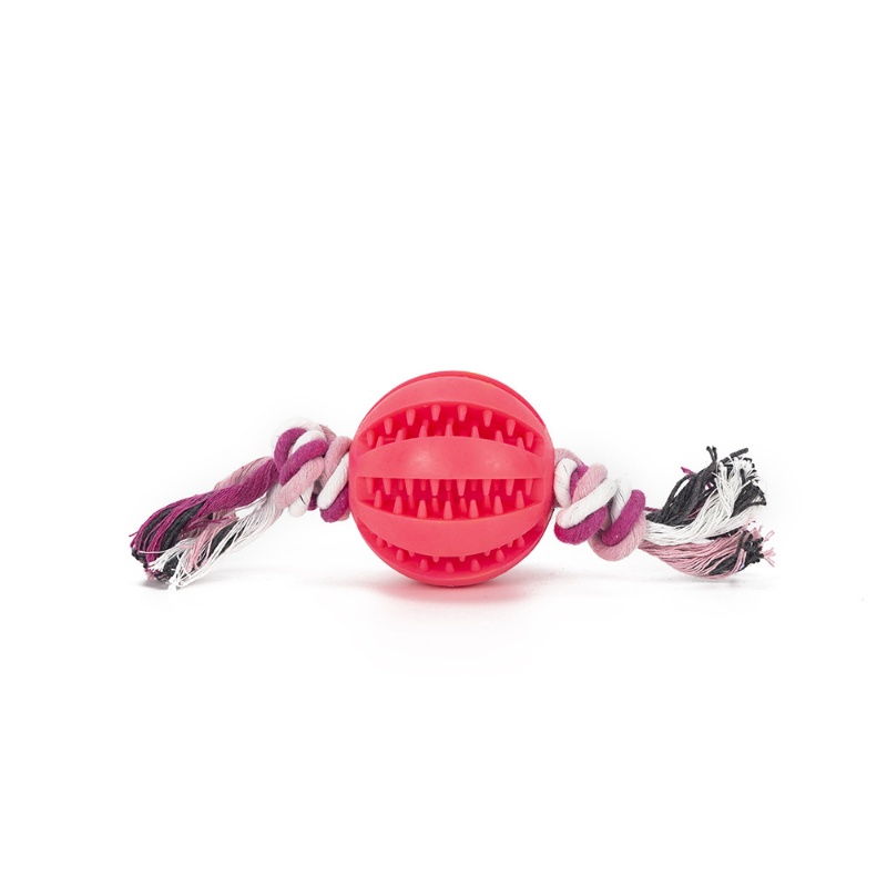 Pet dog food leakage TPR toy ball grinding teeth puzzle bite resistant training toy watermelon ball pet chewing toy