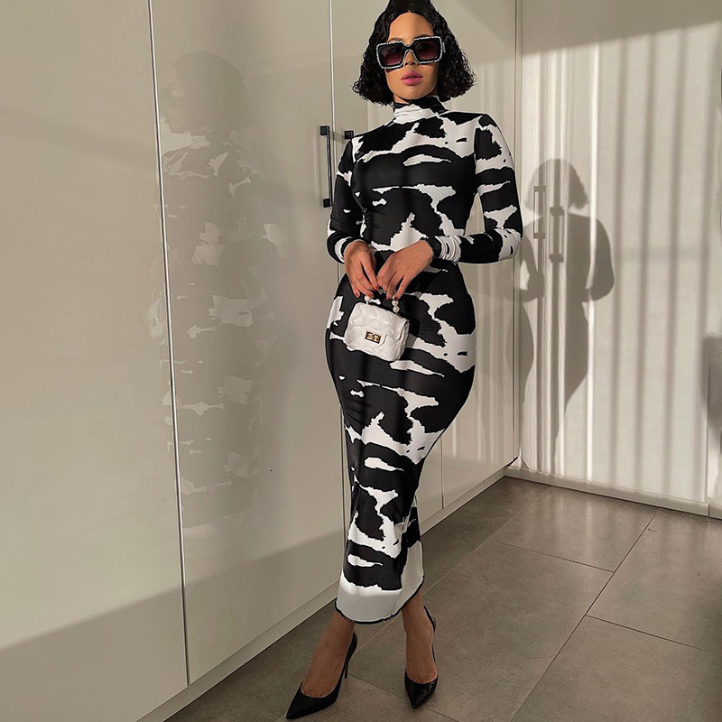 Women's 2025 Spring New Fashion Print High Neck Long Sleeve Slim Fit Dress