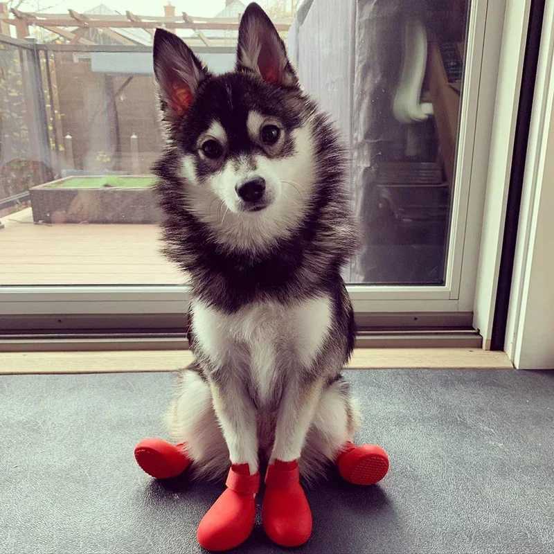 4 waterproof pet cat rain boots anti slip silicone pet dog rain boots outdoor rubber boots suitable for small medium and large dogs T2504010