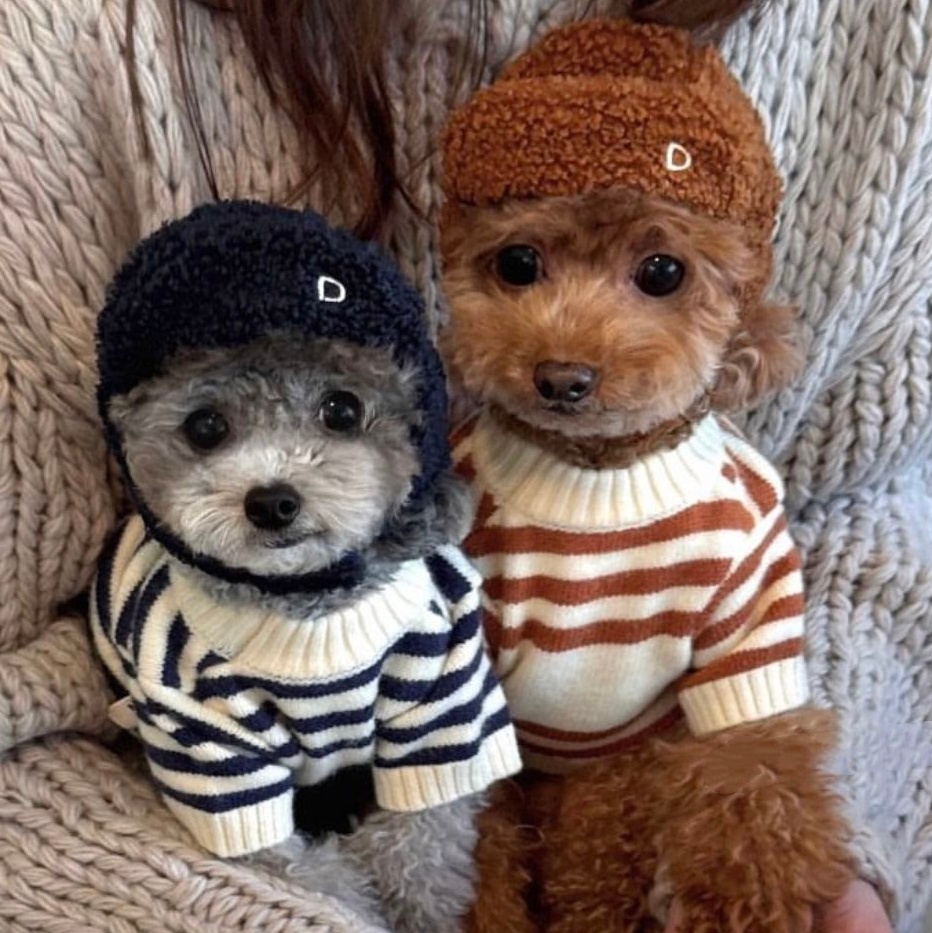Cute Bear Embroidery Pet Sweater, Striped Knitted Dog Pullover, Warm Soft Pet Apparel, Fashionable Dog Sweater for Small Dogs, Comfortable Breathable 