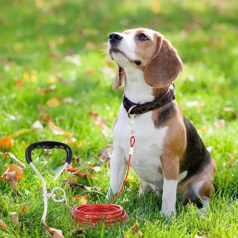 High Quality 5mm3m Lengthen Steel Wire Dogs Rope Chain Durable Double-end Dogs Leash Cable Dual Heads Metal Pet Supplies J251110