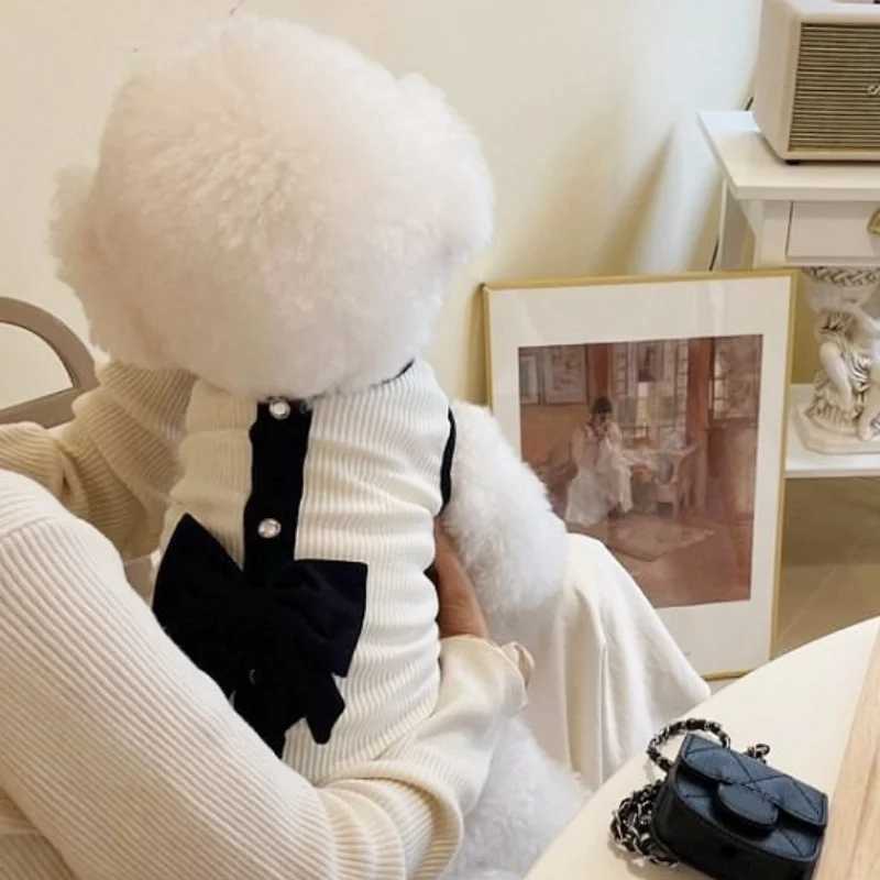 Princess Style Dog Dresses Summer Pet Clothes Sweet Puppy Wedding Skirt Fashion Cat Vest Soft Pet Costumes Chihuahua Dog Vest J251110