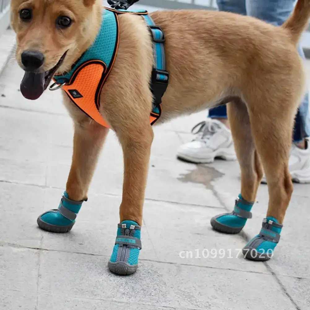 Dog shoes fashionable dog net sports shoes and medium-sized pet small beautiful sports shoes T2504010