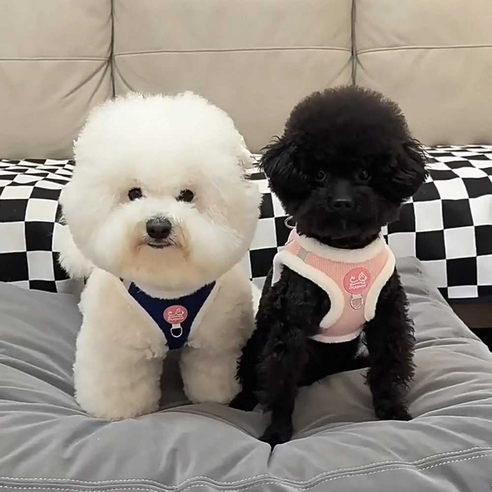 Winter Warm Chihuahua Dog Harness with Fur Walking Pet Harnesses and Leash Set for Small Dogs Puppy Yorkies mascotas Accessories J251110