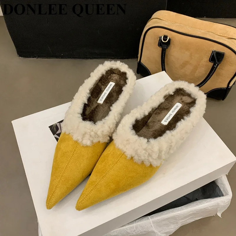 Fashion Mule Shoes Women Slippers Low Heels Fur Shoes Flip Flops Winter Autumn Warm Plush Shoes Pumps Female Footwear 251110