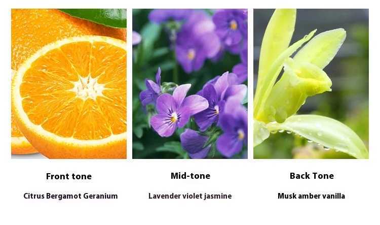 Brand Perfume Cologne Men Perfume Spray Flirting Pheromone Long Lasting Floral Vibrant Citrus Light Fragrance Gentleman Gift W251111