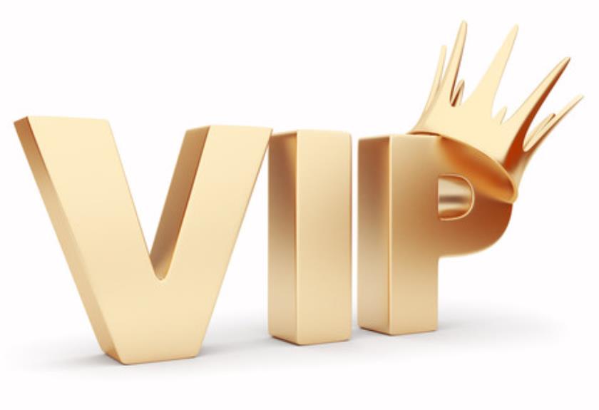 Wholesale Exclusive VIP Payment Link 236