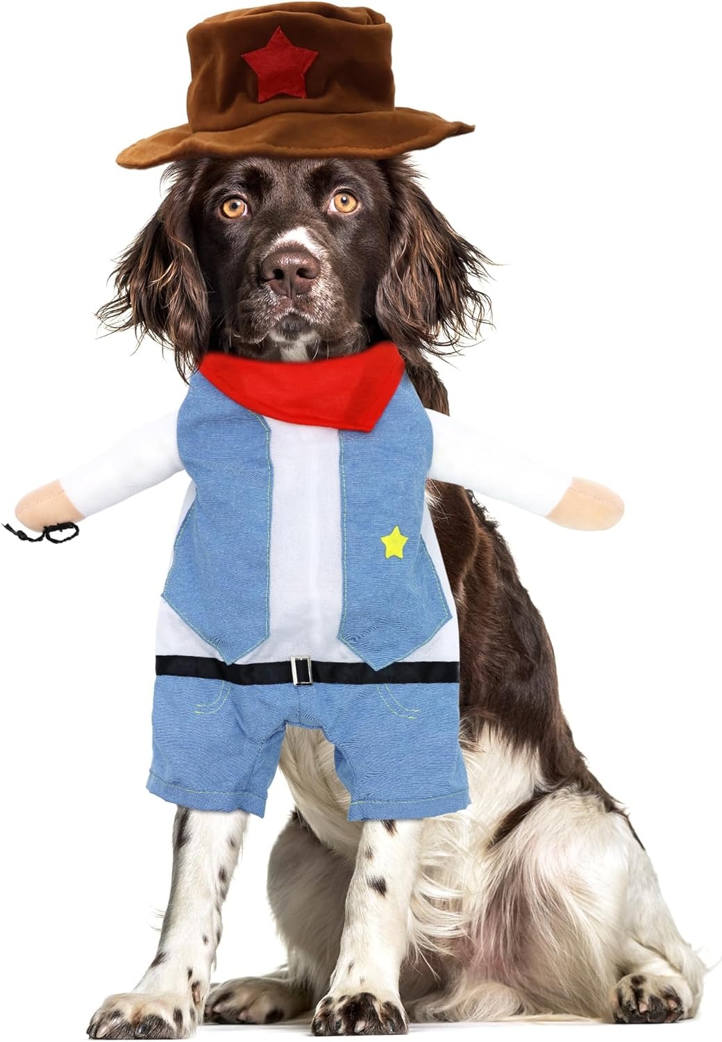 Cowboy Costume with Hat for Cat and Small Dog - Halloween Clothes (Large) Blue