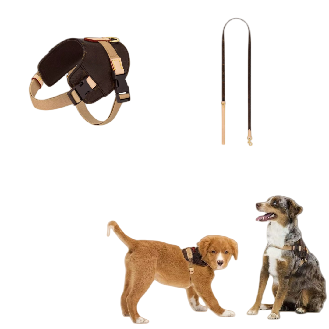 Designer Luxury Adjustable Dog Strap Comfortable No Pull Design Fashion Pet Tank Top Strap Easy to Handle Suitable Small And Medium sized Dog Harness