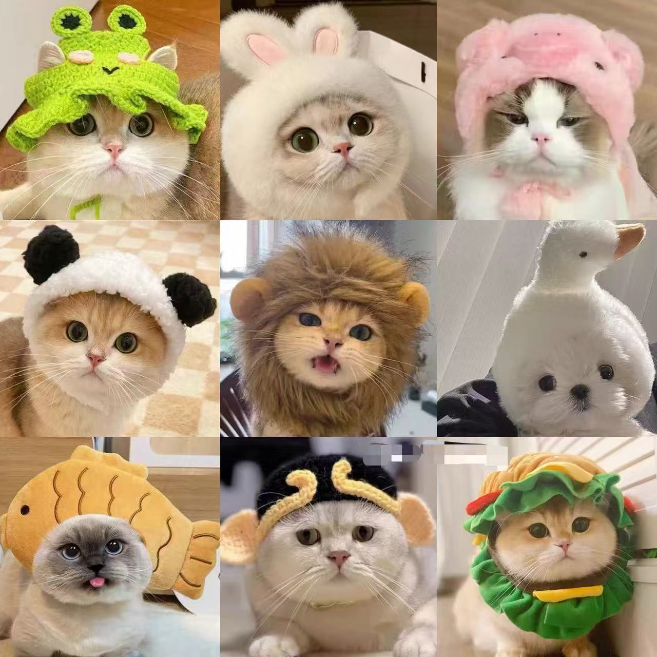 Cute and playful cat costume hat, pet hat, golden gradient British Shorthair, German Shepherd dog burger headgear, cartoon headgear