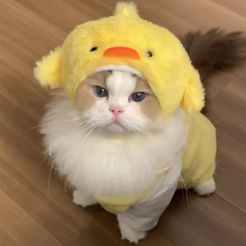 Cute and playful cat costume hat, pet hat, golden gradient British Shorthair, German Shepherd dog burger headgear, cartoon headgear