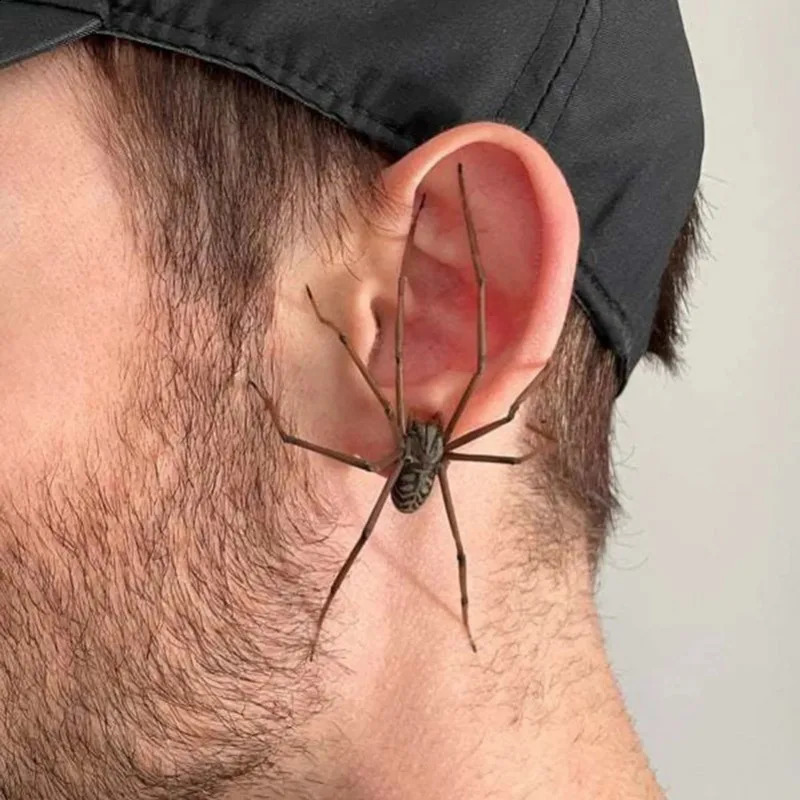 Giant Spider Earrings Hip Hop Punk Metal Earrings Fashion Womens Jewelry Stud Earrings Mens Perforated Jewelry 250409