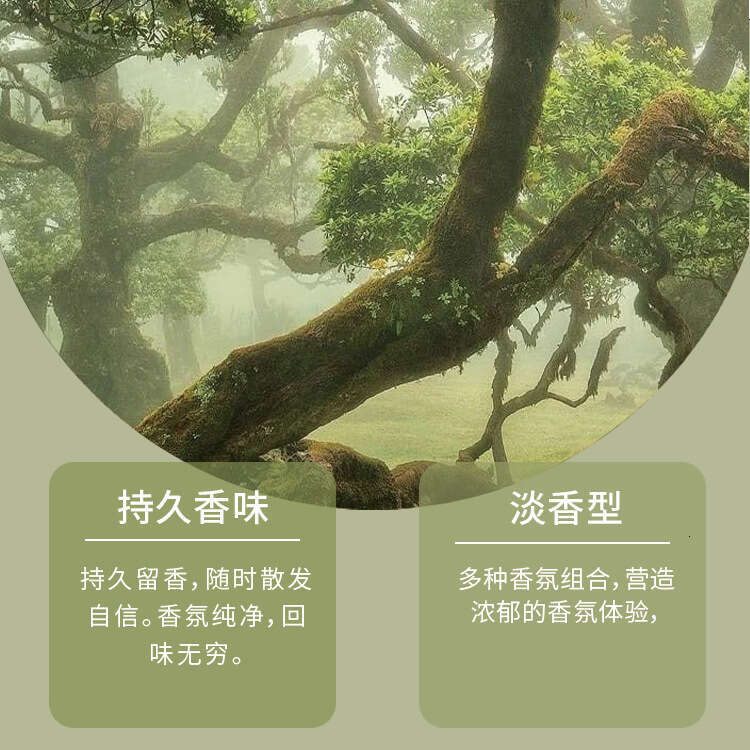 Designer Perfume Ml High End Perfume Big Brand Fragrance Same Style Woody Notes Attracting Opposites Customizable Men S