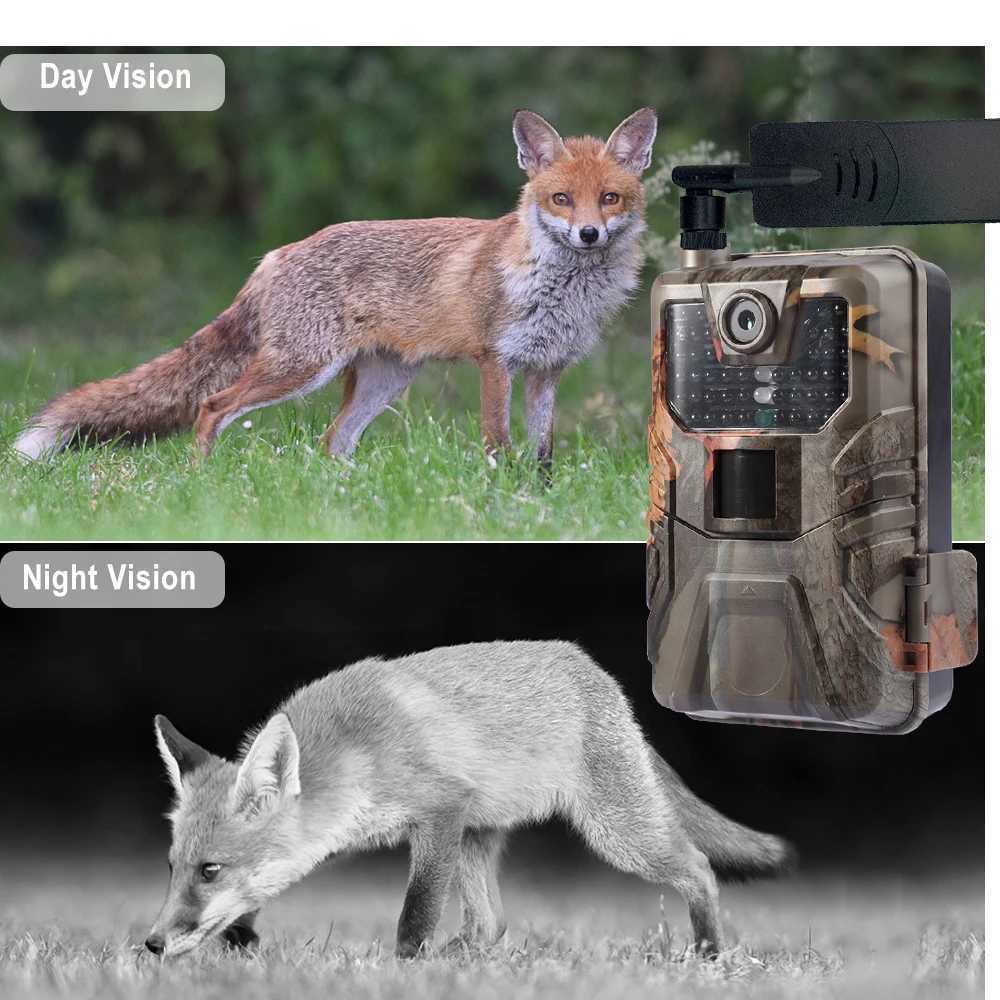 Suntekcam APP Control Trail Camera Cloud Service 4G 30MP 2K Wireless Wildlife Hunting Camera Night Vision Monitoring HC900Plus X2504111