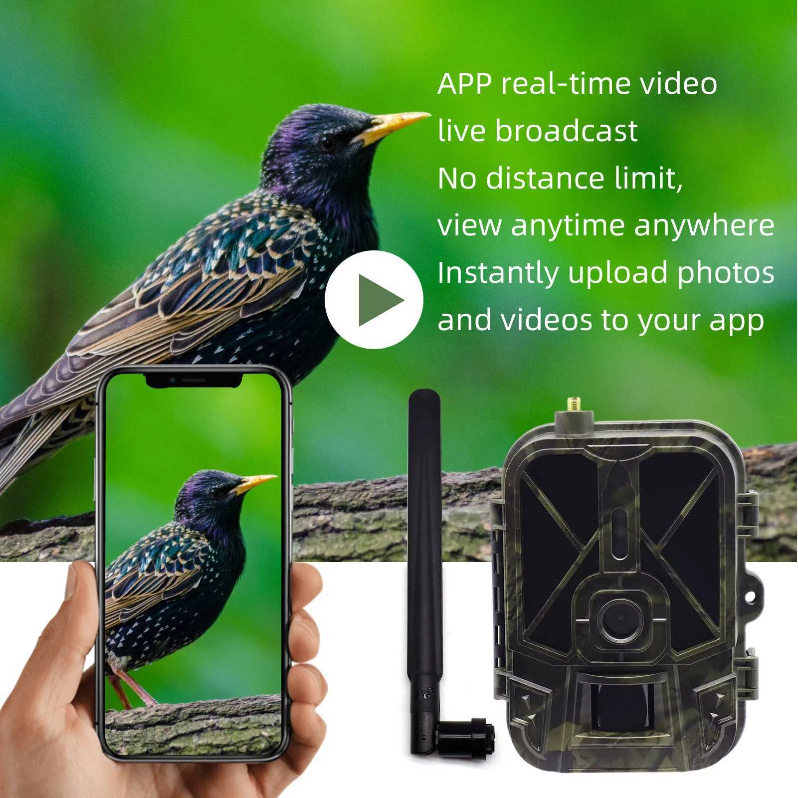 4K 36MP Application 4G Control Cloud Hunting Camera Outdoor Tracking AA Battery Night Vision 120 Detection Wildlife Reconnaissance X2504111