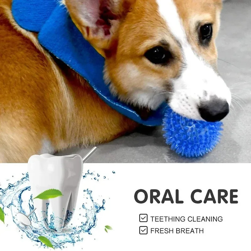 Pet Dog Toys Cat Puppy Sounding Toy Polka Squeaky Tooth Cleaning Ball TPR Training Teeth Chewing Thorn Balls Accessories 251110