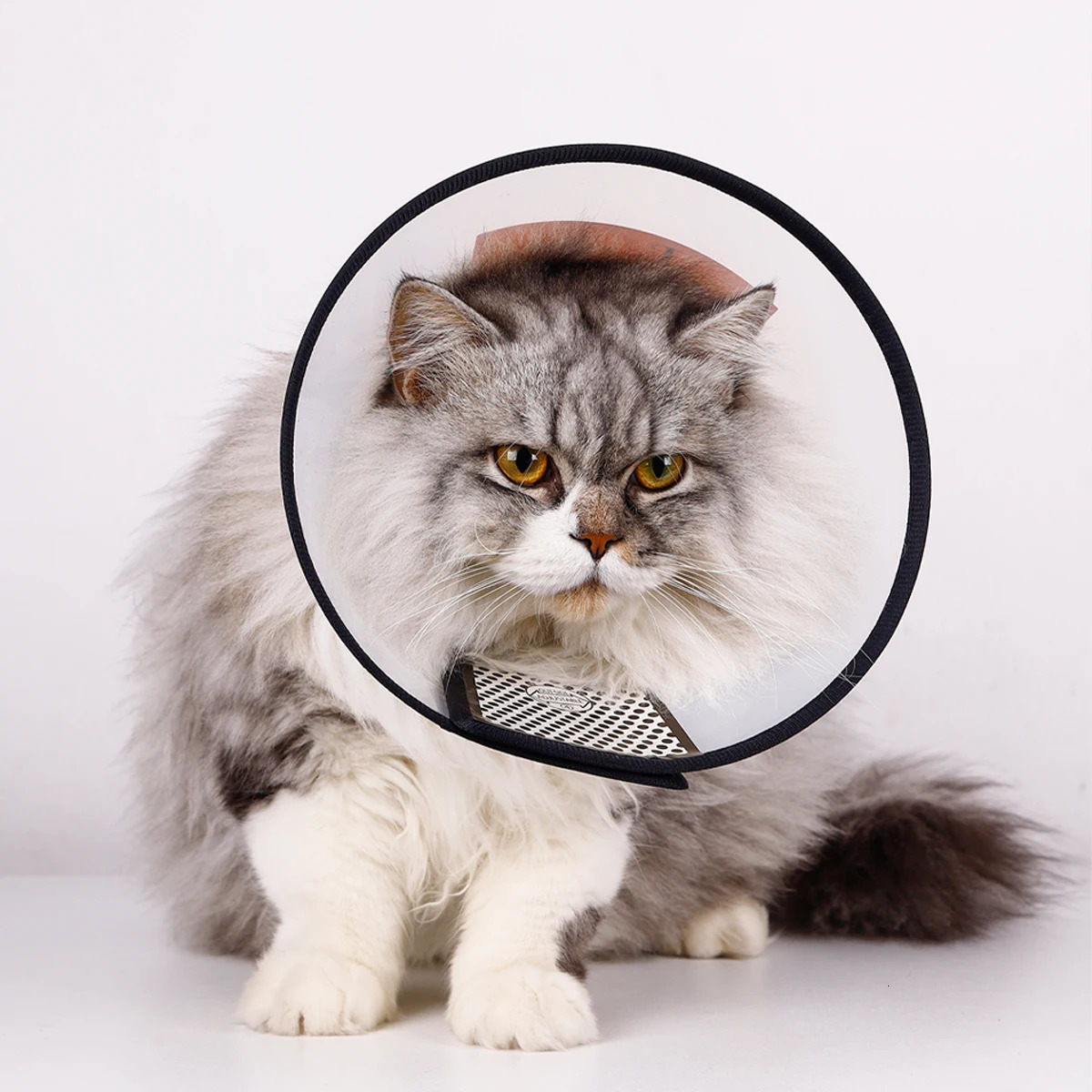 Pet Elizabethan Collar for Dogs Comfy Cones to Stop Licking Protective Cat After Surgery AntiBite Lick Recovery 251110