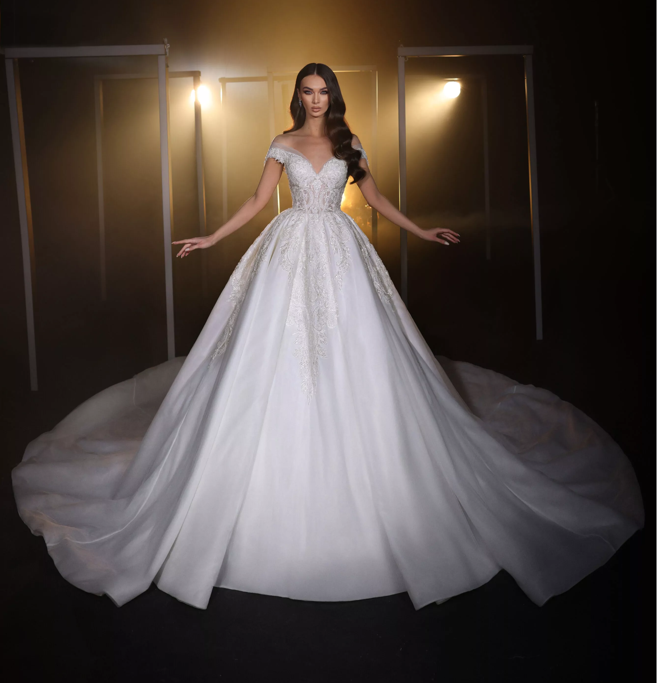 Classic Wedding Dresses Ball Gown Shine Lace Appliques Sexy Bridal Gowns Sequins Lace Royal Tail vestidos de fiesta Customized Plus Size H25641