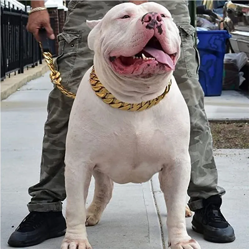 Dog Collars Leashes Strong Golden Choker Pets Cuban Link Chain 32mm Width Stainless Steel for Medium Large Bulldog