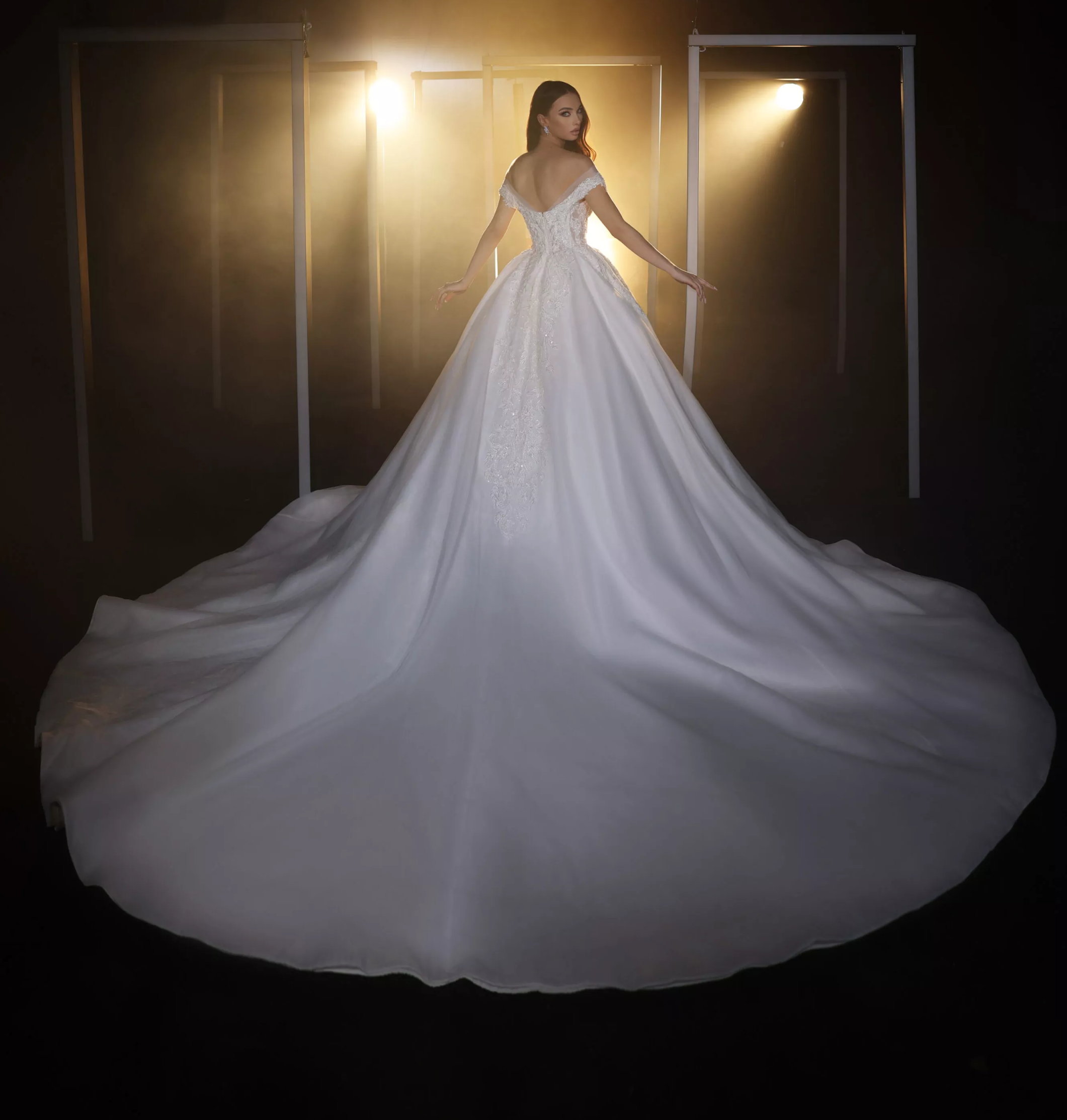 Classic Wedding Dresses Ball Gown Shine Lace Appliques Sexy Bridal Gowns Sequins Lace Royal Tail vestidos de fiesta Customized Plus Size H25641