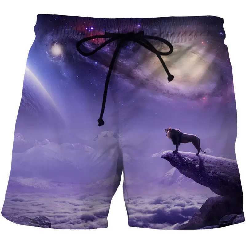 Mens swimsuit Fire Tiger/Lion 3D surfboard shorts childrens beach shorts mens tight fitting clothes sports pants underwear for boysW250410