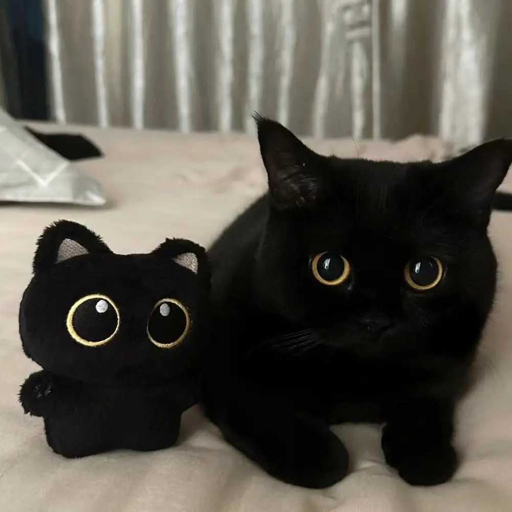 Cute black cat plush toy keychain cartoon kitten soft filled doll pendant car key backpack decoration doll pendant keychain W250411