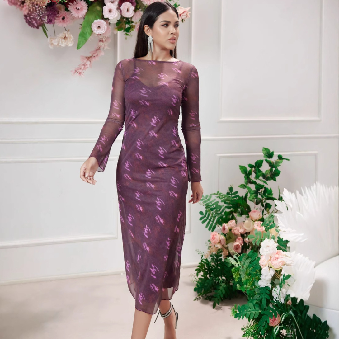 2025 Summer Women's New Elegant Mesh Printed Two Piece Dress Set