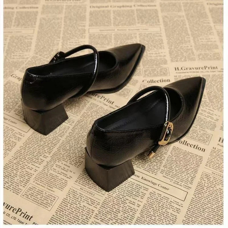Premium Leather Mary Janes - French Vintage Pointed Toe Pumps Chunky Heel Single Strap Shoes Buckle Decor 251110
