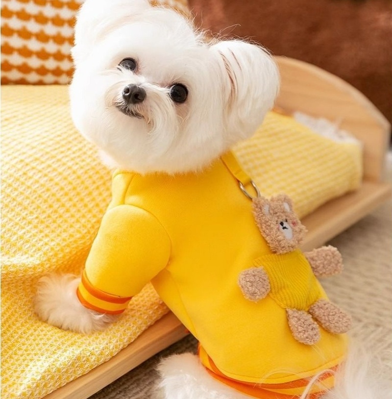 Cute 3D Bear Decor Dog Clothes with Leash Ring, Warm Soft Pet Sweatshirt, Fashionable Puppy Apparel for Small Dogs, Multiple Colors, for Daily Wear & 