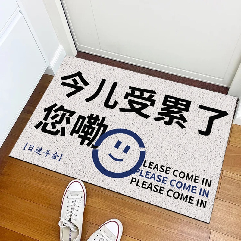 Funny Internet Celebrity Floor Mats Creative Text Silk Loop Carpet Entrance Door Dirt-resistant Household Floor Mats