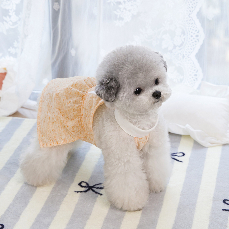 Leisure Dog Clothing Summer Cool Dress Cute Princess Dog Dress Little Angel Wing Decoration Puppy Dresses Girl Dog Clothes for Small Dogs Cats Chihuah
