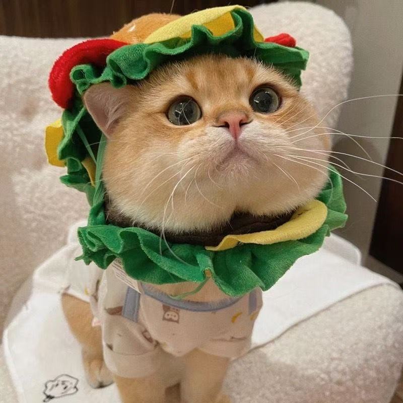Cute and playful cat costume hat, pet hat, golden gradient British Shorthair, German Shepherd dog burger headgear, cartoon headgear